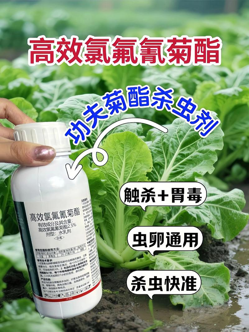 渝北代生中心:农药对供卵代生妈妈的危害